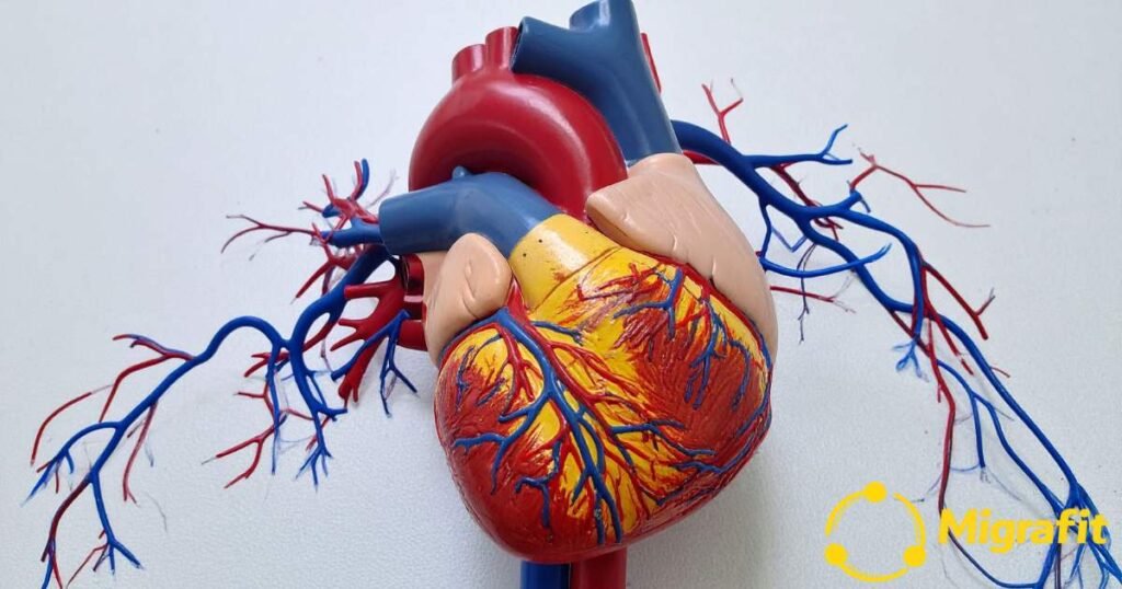 5 Sinais De Que Seu Coração Está Pedindo Atenção