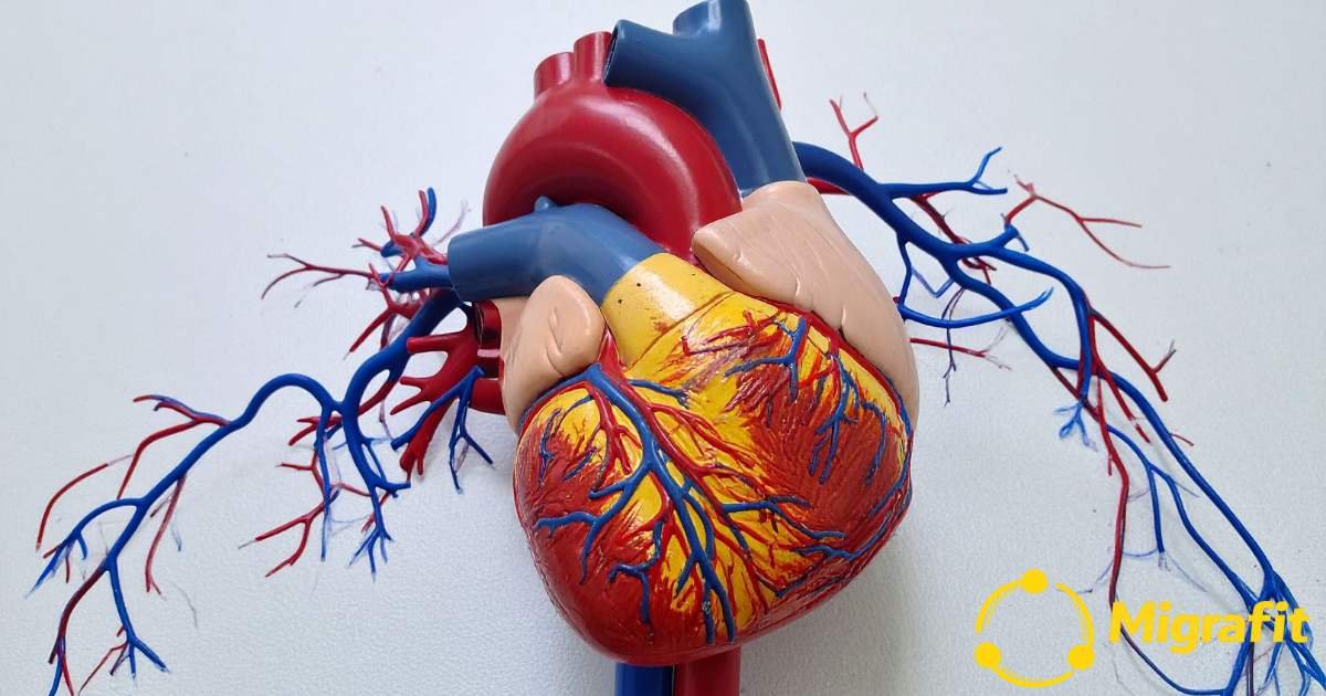 DescriptionConheça 5 sinais coração atenção que você pode estar ignorando. Saiba o que fazer para prevenir e quando procurar um médico.